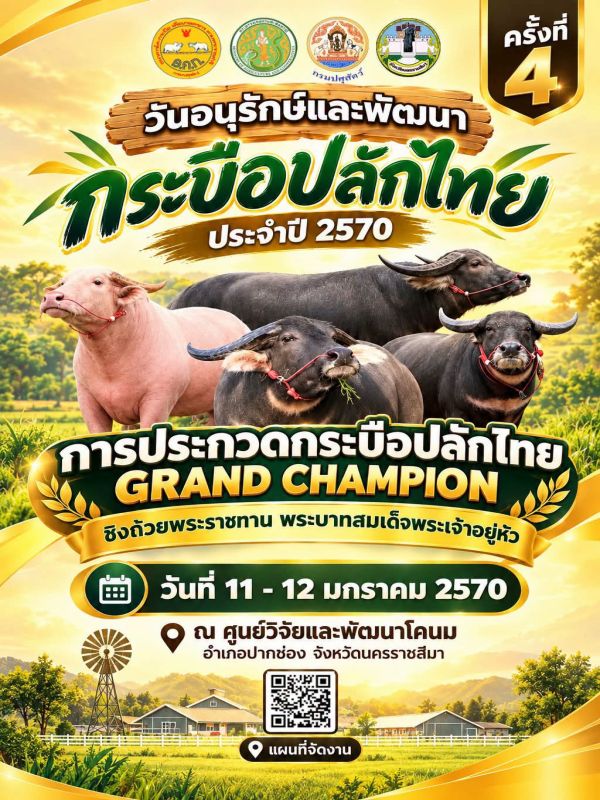 ขอเชิญเที่ยวงานประกวดกระบือปลักไทย เนื่องในวันอนุรักษ์และพัฒนากระบือปลักไทย ประจำปี 2570 