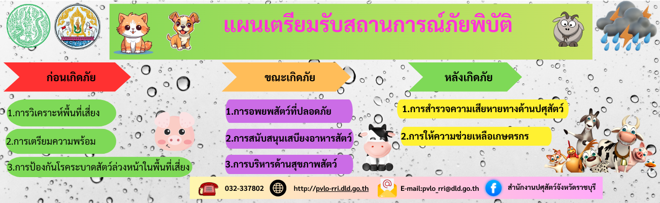 แผนเตรียมรับภัยพิบัติ