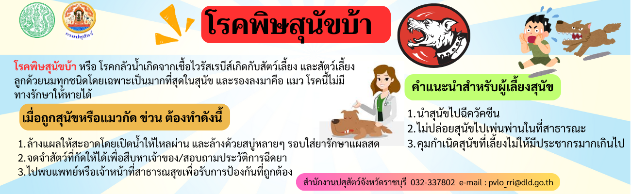 โรคพิศสุนัขบ้า
