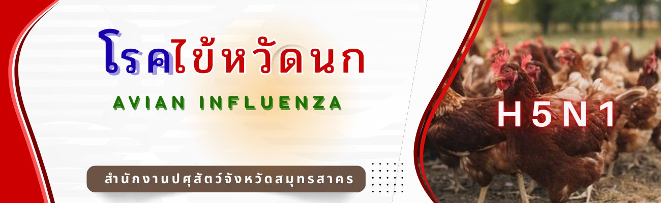 โรคไข้หวัดนก