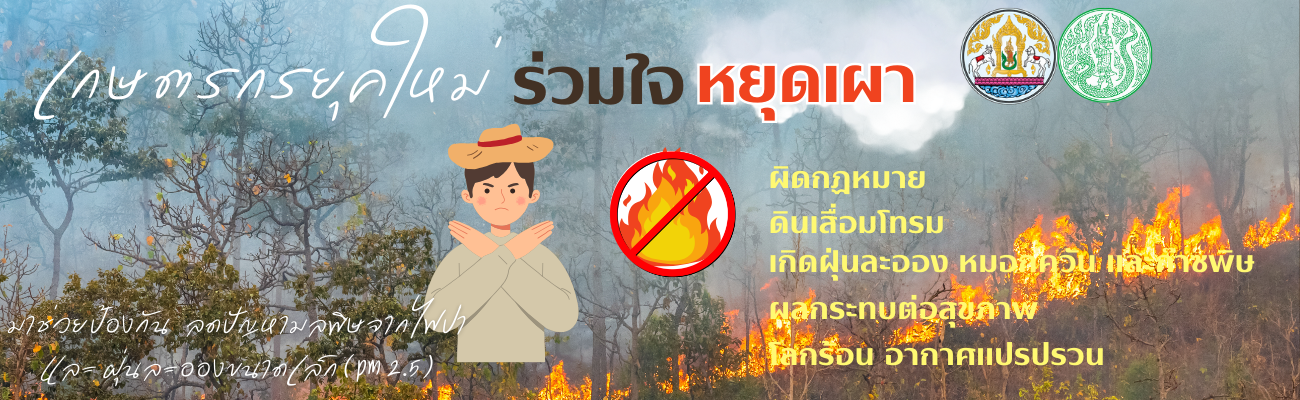 หยุดเผา