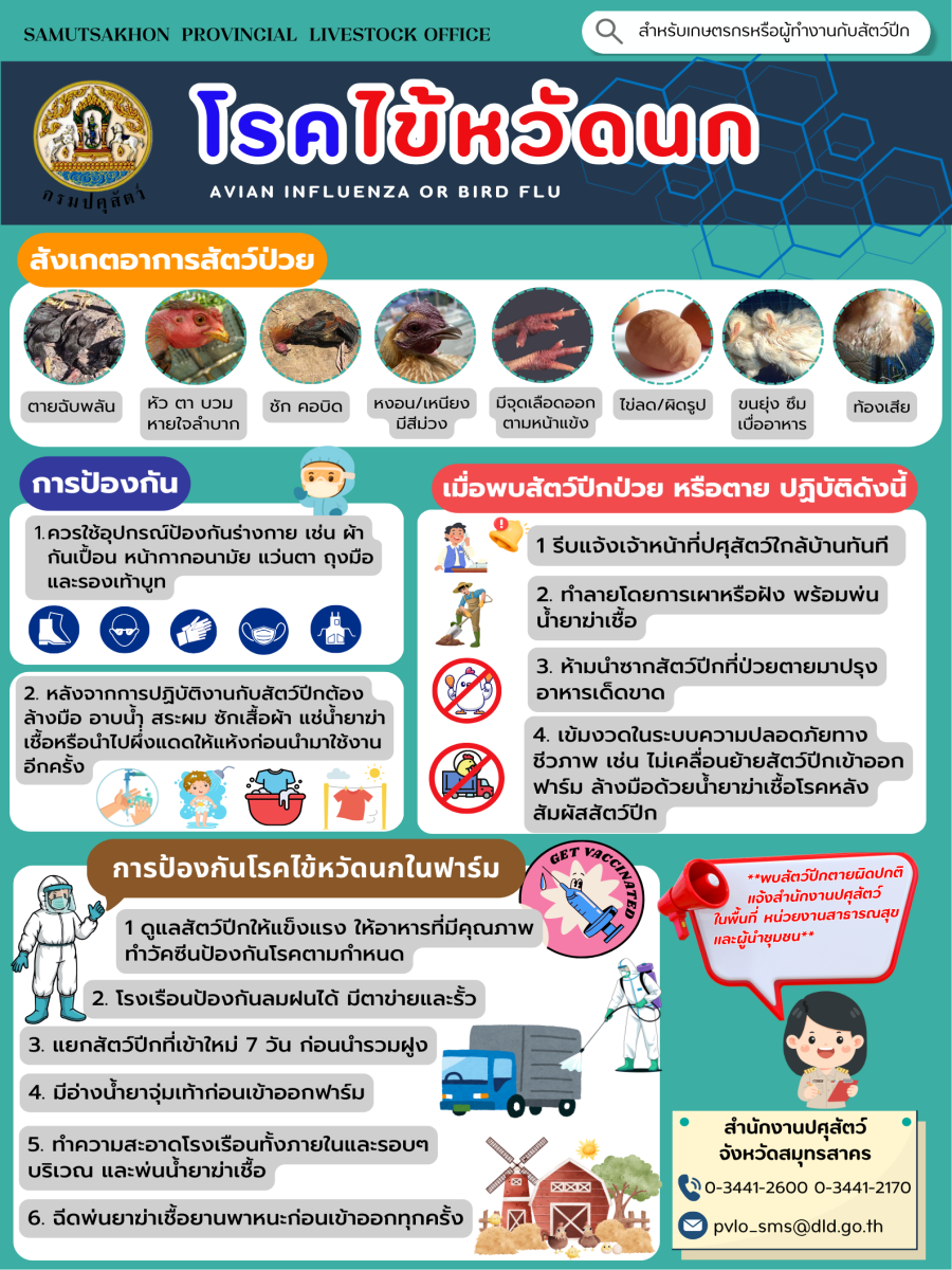 โรคไข้หวัดนกสำหรับเกษตรกรและผู้ปฏิบัติงานด้านสัตว์ปีก