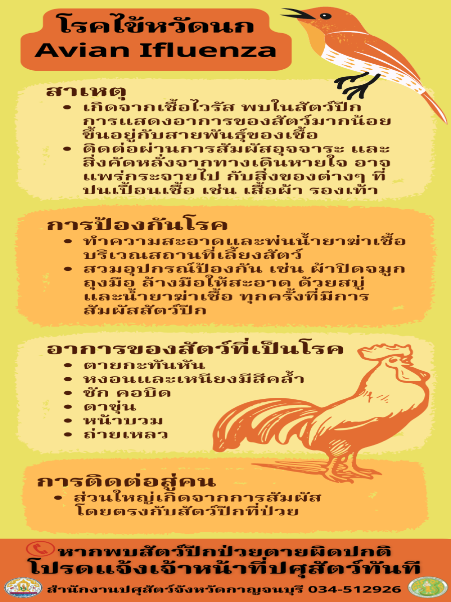 โรคไข้หวัดนก Avian Ifluenza