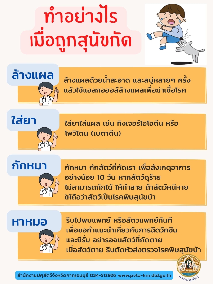 ทำอย่างไรเมื่อถูกสุนัขกัด