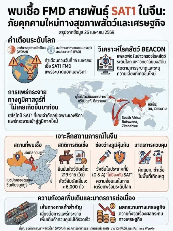 แจ้งเตือนสถานการณ์การระบาดของโรคปากและเท้าเปื่อย SAT1