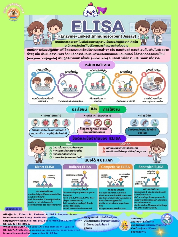 elisa อิลิซา