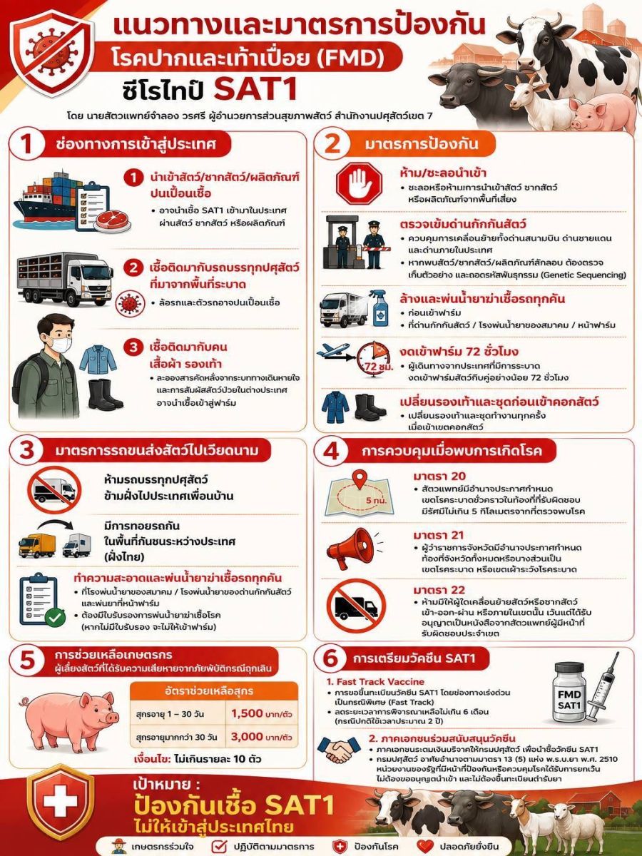 แนวทางและมาตรการป้องกันโรคปากและเท้าเปื่อย (FMD)