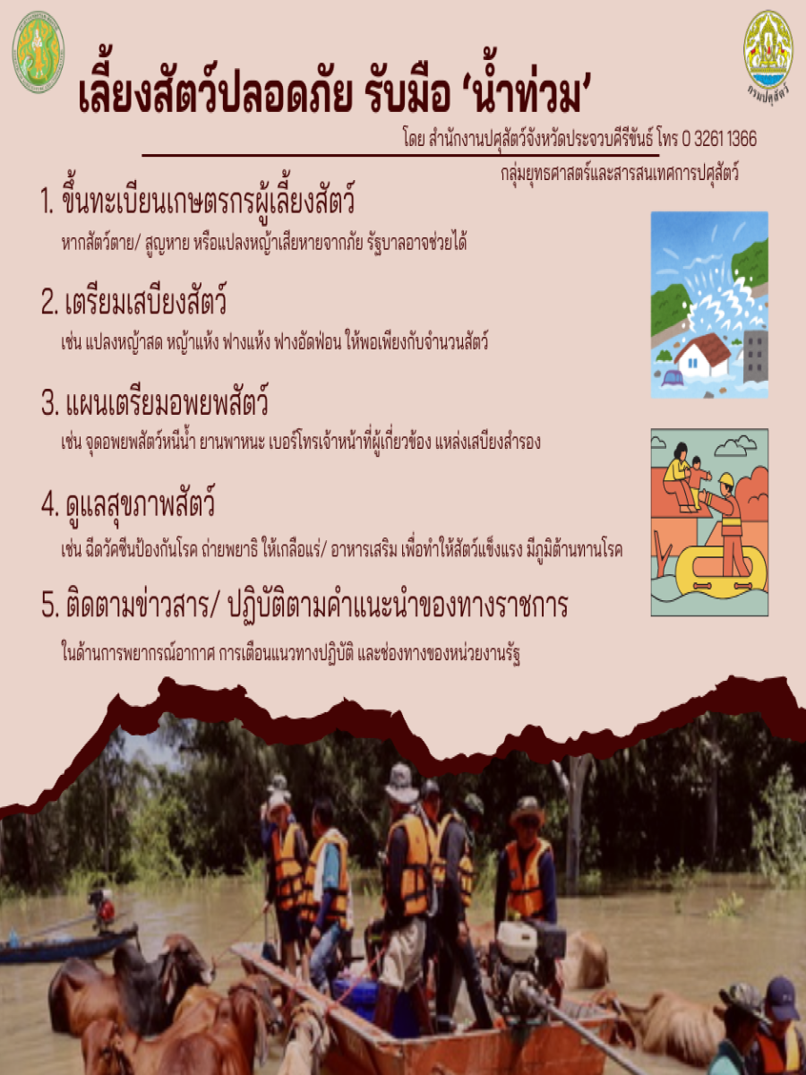 เลี้ยงสัตว์ปลอดภัย รับมือ "น้ำท่วม"