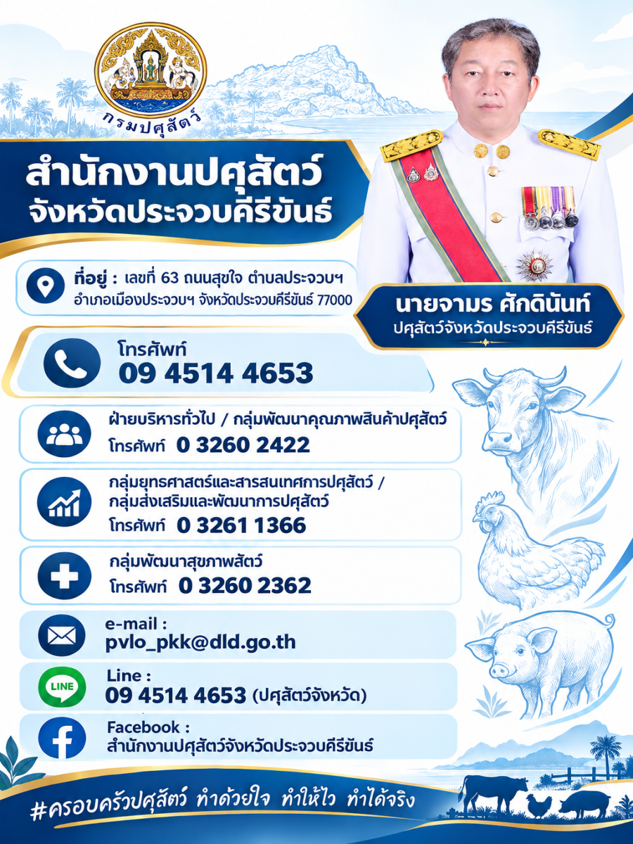 สำนักงานปศุสัตว์จังหวัดประจวบฯ