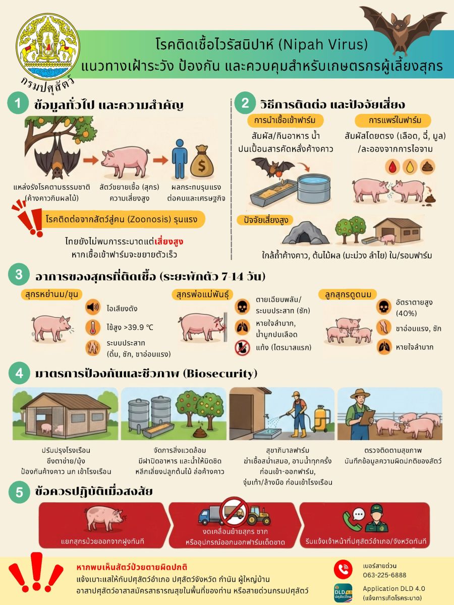 โรคติดเชื้อไวรัสนิปาห์ (Nipah Virus)