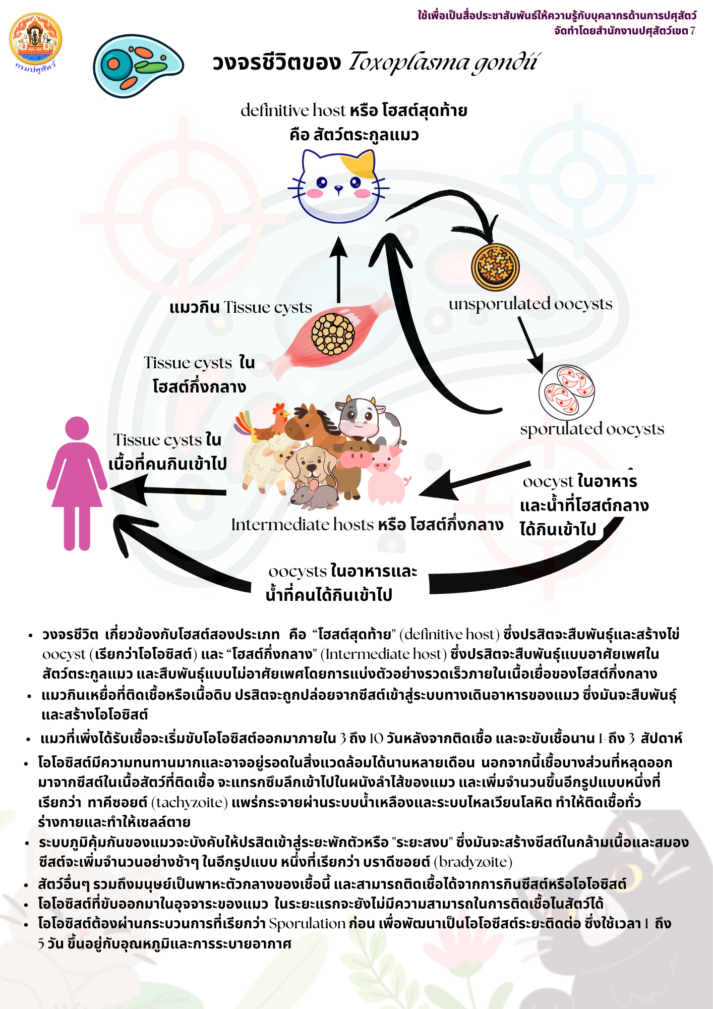 Toxoplasmosis1