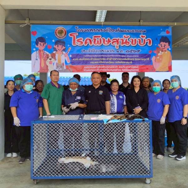 ปศุสัตว์จังหวัดสมุทรสาครดำเนินการผ่าตัดทำหมันสุนัขและแมวในพื้นที่ตำบลบางกระเจ้า อำเภอเมืองสมุทรสาคร 