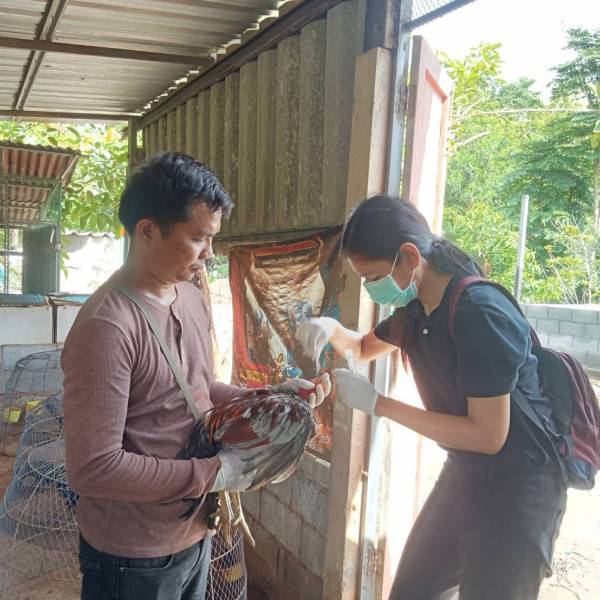 ปศุสัตว์อำเภอด่านช้าง ลงพื้นที่ตรวจประเมินฟาร์มที่มีระบบการป้องกันโรคและการเลี้ยงสัตว์ที่เหมาะสม (GFM) ชนิดไก่พื้นเมือง 