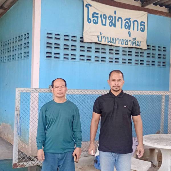 ปศุสัตว์อำเภอศรีประจันต์ ดำเนินโครงการแผนการเฝ้าระวังทางห้องปฏิบัติการของโรคอหิวาห์แอฟริกาในสุกร ปี 2569 ในพื้นที่ ต.บ้านกร่าง