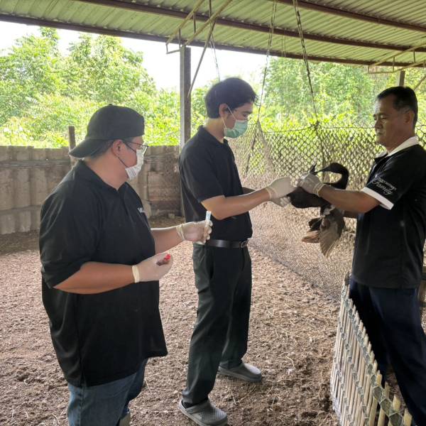 ปศุสัตว์อำเภอสามชุก ดำเนินการโครงการมาตรการเฝ้าระวังและป้องกันโรคระบาดในสัตว์ปีก 1/2569 ในพื้นที่ อ.สามชุก