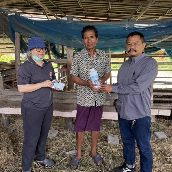 ปศุสัตว์อำเภอสองพี่น้อง ลงพื้นที่ตรวจติดตามลูกเกิดโคพระราชทาน 