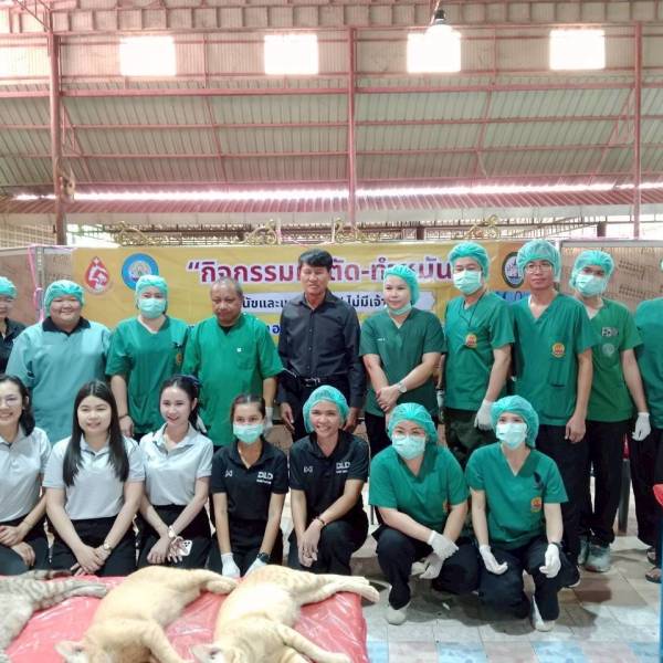ปศุสัตว์จังหวัดสมุทรสาครดำเนินการผ่าตัดทำหมันสุนัขและแมว
