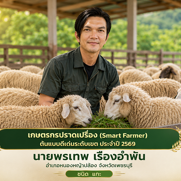 ปศุสัตว์เขต 7 คัดเลือก เกษตรกรปราดเปรื่อง smart farmer ต้นแบบดีเด่นระดับเขต ประจำปี 2569 ชนิด แกะ