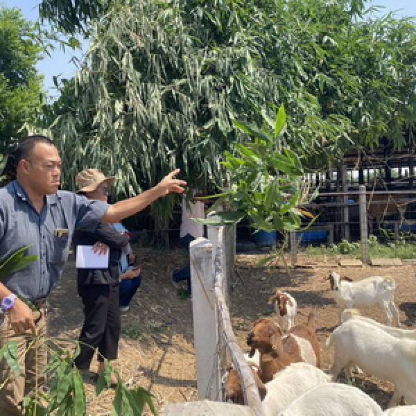 ปศุสัตว์จังหวัดกาญจนบุรีติดตามการดำเนินโครงการสร้างความเข้มแข็งการเลี้ยงแพะเนื้อแบบยั่งยืน