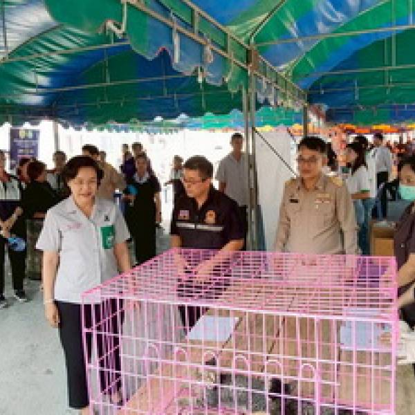 ปศุสัตว์จังหวัดกาญจนบุรี ร่วมโครงการจังหวัดเคลื่อนที่ 