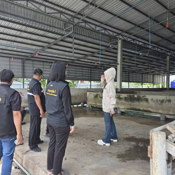 สำนักงานปศุสัตว์จังหวัดนครปฐม  โดยสำนักงานปศุสัตว์อำเภอเมืองนครปฐม ตรวจติดตามโรงฆ่าสัตว์ รอบที่ 2 ประจำปีงบประมาณ 2569