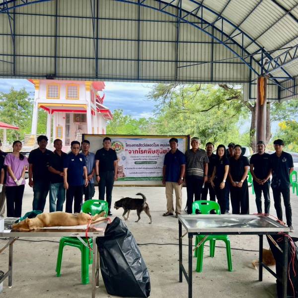 ปศุสัตว์อำเภอบางปลาม้า ร่วมกับ อบต.บางใหญ่ จัดกิจกรรมทำหมันสุนัขและแมวจรจัด ภายใต้โครงการสัตว์ปลอดโรค คนปลอดภัยจากโรคพิษสุนัขบ้า 