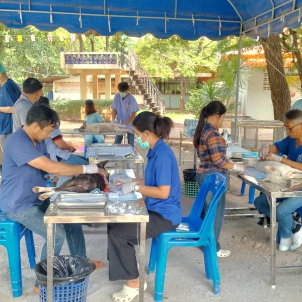 ปศุสัตว์อำเภออู่ทอง ร่วมกับ อบต.หนองโอ่ง จัดกิจกรรมทำหมันสุนัขและแมวจรจัด ภายใต้โครงการสัตว์ปลอดโรค คนปลอดภัยจากโรคพิษสุนัขบ้า  ประจำปี 2569