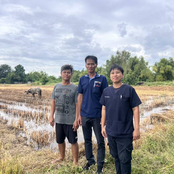 ปศุสัตว์อำเภอเดิมบางนางบวช ลงพื้นที่ตรวจเยี่ยมเกษตรกรผู้ได้รับมอบกระบือพระราชทาน