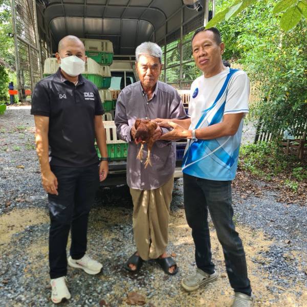 โครงการส่งเสริมเกษตรทฤษฎีใหม่ ประจำปีงบประมาณ พ.ศ 2569 