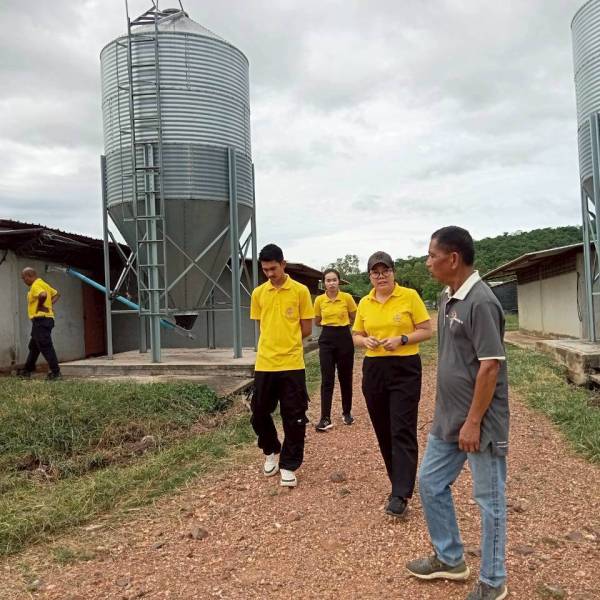 ปศุสัตว์บ้านลาด ตรวจติดตามการปฏิบัติทางการเกษตรที่ดีสําหรับฟาร์มไก่เนื้อ