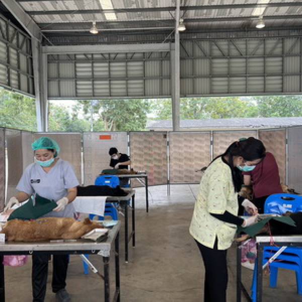 ปศุสัตว์จังหวัดกาญจนบุรี จัดโครงการสัตว์ปลอดโรค คนปลอดภัย จากโรคพิษสุนัขบ้า