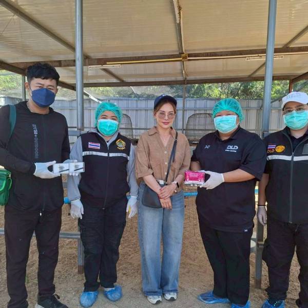 ปศุสัตว์จังหวัดสมุทรสาคร ลงพื้นที่ทำวัคซีนป้องกันโรคนิวคาสเซิลและหลอดลมอักเสบติดต่อในไก่พื้นเมือง 2569