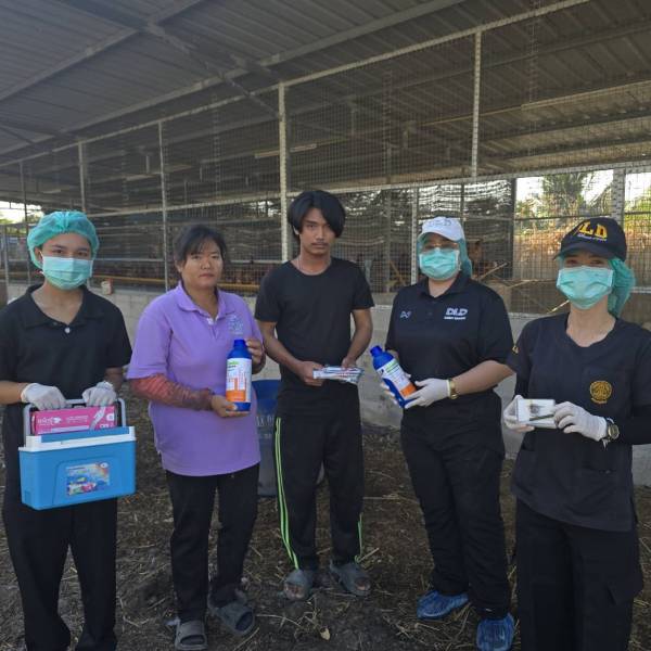 ปศุสัตว์จังหวัดสมุทรสาคร ลงพื้นที่ทำวัคซีนป้องกันโรคนิวคาสเซิลและหลอดลมอักเสบติดต่อในไก่พื้นเมือง 2569
