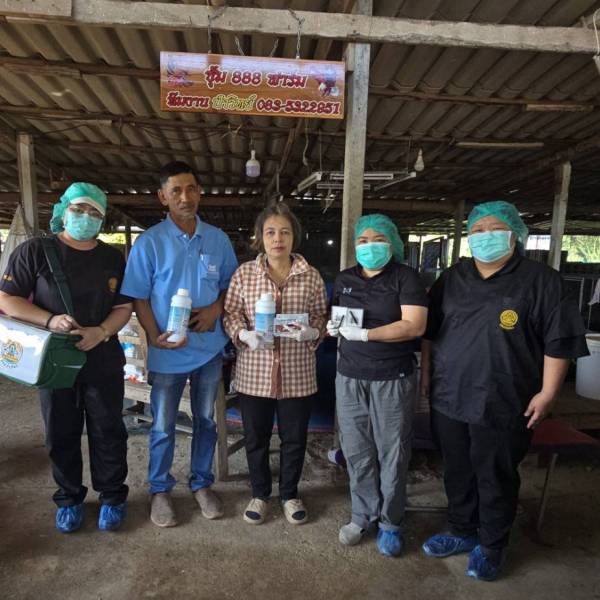 ปศุสัตว์จังหวัดสมุทรสาคร ลงพื้นที่ทำวัคซีนป้องกันโรคนิวคาสเซิลและหลอดลมอักเสบติดต่อในไก่พื้นเมือง 2569