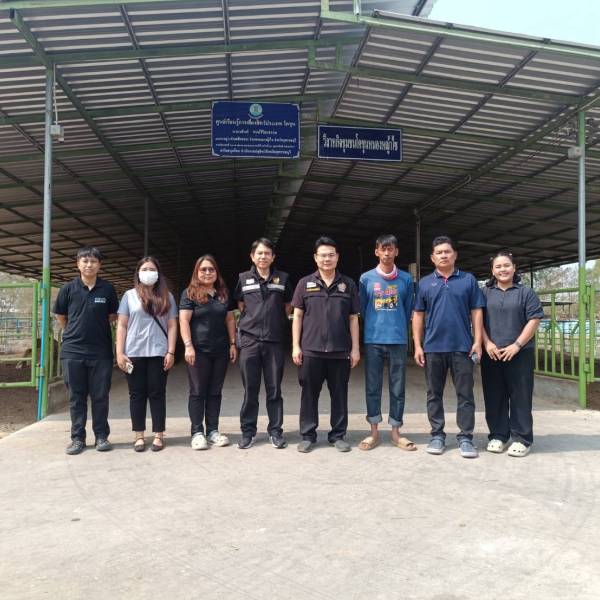 ปศุสัตว์สุพรรณฯ ร่วมกับสำนักงานปศุสัตว์เขต 7 ลงพื้นที่สุ่มตรวจหาสารเร่งเนื้อแดงในปัสสาวะโคขุน