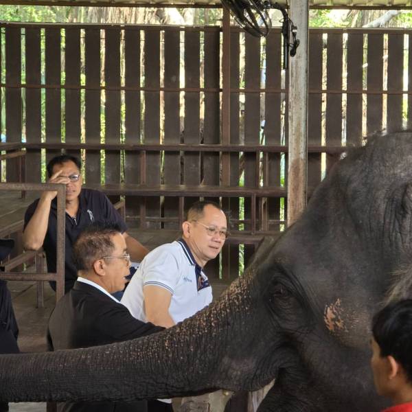 ตรวจเยี่ยมปางช้างอำเภอดำเนินสะดวก