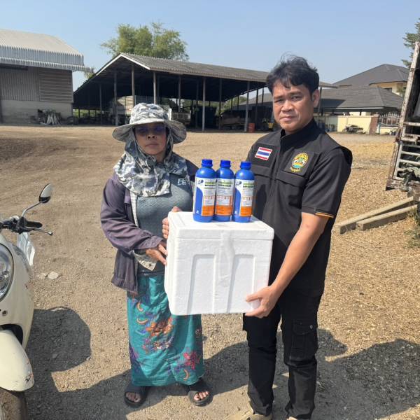 สำนักงานปศุสัตว์จังหวัดนครปฐม ตรวจเยี่ยม ให้คำแนะนำ เกษตรกรผู้เลี้ยงโค เพื่อสร้างความรู้ความเข้าใจ เกี่ยวกับโรคปากและเท้าเปื่อย