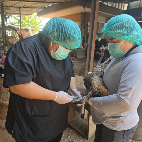 ปศุสัตว์สมุทรสาครลงพื้นที่เก็บตัวอย่างกิจกรรมสำรวจระดับภูมิคุ้มกันภายหลังการทำวัคซีนป้องกันโรคนิวคาสเซิล รอบที่1/2569