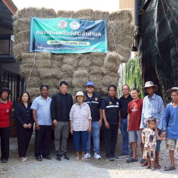 ปศุสัตว์สุพรรณฯ ลงพื้นที่รับมอบหญ้าแห้งคลังเสบียงสัตว์ประจำตำบล ปี 2569