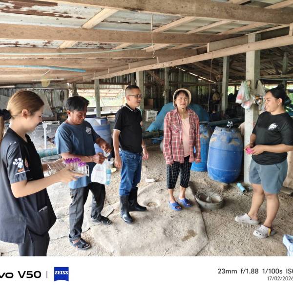 ปศุสัตว์อำเภอเมืองสุพรรณบุรี เก็บตัวอย่างเลือดสุกรเพื่อเฝ้าระวังโรคอหิวาต์แอฟริกาในสุกร ในพื้นที่ ต.สระแก้ว