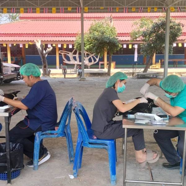 ปศุสัตว์อำเภออู่ทอง จัดกิจกรรมทำหมันสุนัขและแมวจรจัดภายใต้โครงการสัตว์ปลอดโรค คนปลอดภัยจากโรคพิษสุนัขบ้าฯ ปีงบประมาณ 2569