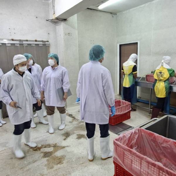 ปศุสัตว์สุพรรณฯ ตรวจติดตามการปฏิบัติที่ดีสำหรับโรงฆ่าสุกร (GMP) ในพื้นที่ อ.เมืองสุพรรณบุรี