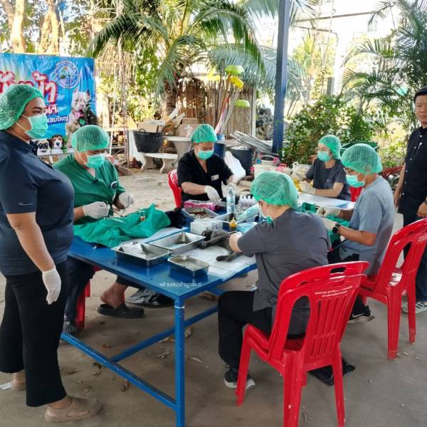 สมุทรสงครามดำเนินการโครงการสัตว์ปลอดโรค คนปลอดภัยจากโรคพิษสุนัขบ้าตามพระปณิธานศาสตราจารย์ ดร.สมเด็จเจ้าฟ้าฯ กรมพระศรีสวางควัฒน วรขัตติยราชนารี