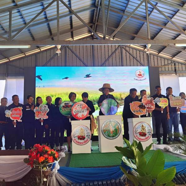 ปศุสัตว์เพชรบุรี ร่วมกิจกรรม รณรงค์ไถกลบตอซัง สร้างดินยั่งยืน ฟื้นสิ่งแวดล้อม ประจำปีงบประมาณ ๒๕๖๙