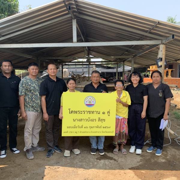 ปศุสัตว์เพชรบุรี  ส่งมอบโคพระราชทานเพื่อสร้างขวัญกำลังใจแก่เกษตรกร