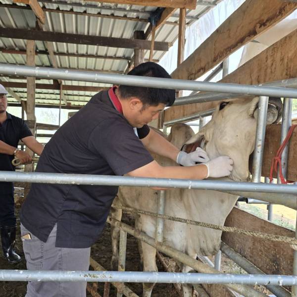 ปศุสัตว์สุพรรณฯ ลงพื้นที่ปฏิบัติงานโครงการตามแผนงานยุทธศาสตร์การพัฒนาจังหวัด ปี 2569 ในพื้นที่ อ.เดิมบางนางบวช