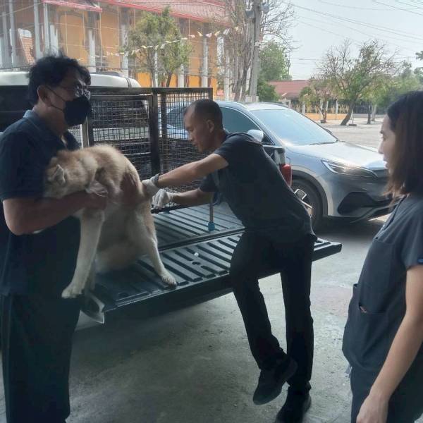 ปศุสัตว์อำเภออู่ทอง ดำเนินงานกิจกรรมรณรงค์ฉีดวัคซีนป้องกันโรคพิษสุนัขบ้า ประจำปีงบประมาณ 2569 ในพื้นที่ ต.ดอนคา 