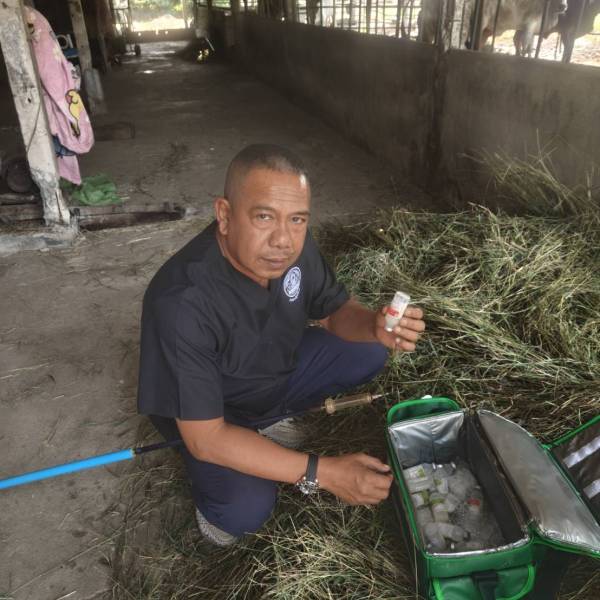 สำนักงานปศุสัตว์จังหวัดนครปฐม  เร่งรัดฉีดวัคซีนป้องกันโรคปากและเท้าเปื่อยในโคนม