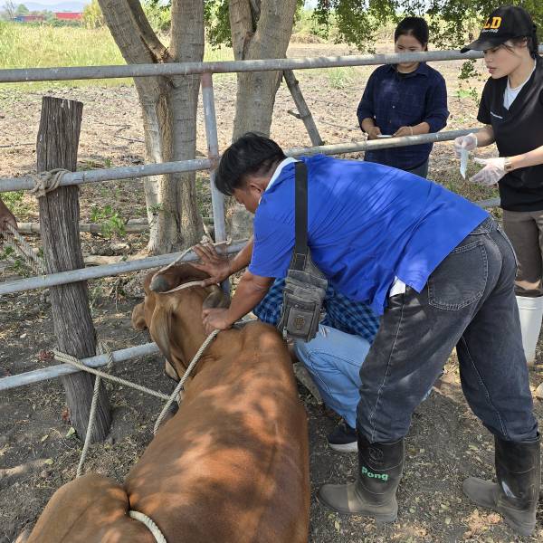 ปศุสัตว์สุพรรณฯ ลงพื้นที่ปฏิบัติงานโครงการตามแผนงานยุทธศาสตร์การพัฒนาจังหวัด ปี 2569 ในพื้นที่ อ.อู่ทอง