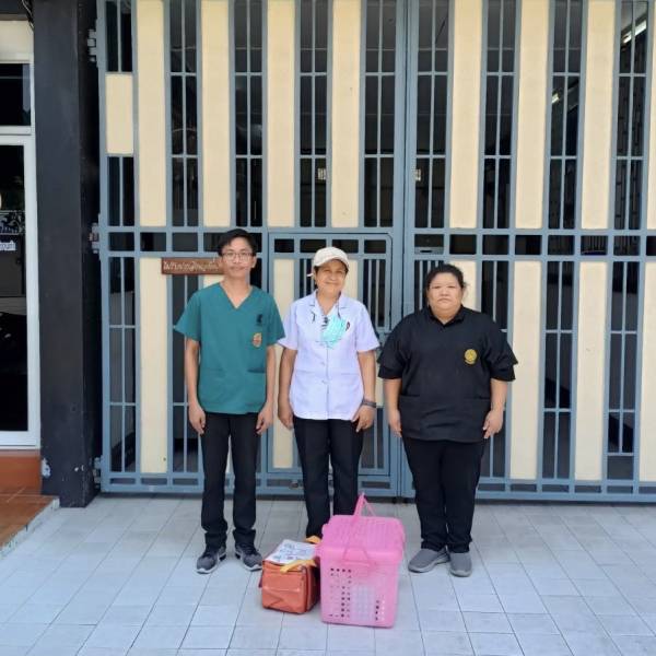 ปศุสัตว์จังหวัดสมุทรสาคร จัดกิจกรรมผ่าตัดทำหมันสุนัขและแมวร่วมกับกรมราชทัณฑ์ เรือนจำจังหวัดสมุทรสาคร